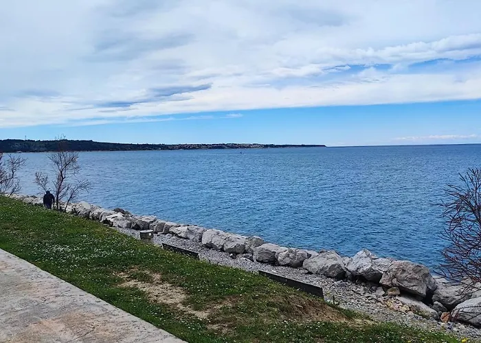 Sea Lux Floating House Ajda ポルトローシュ